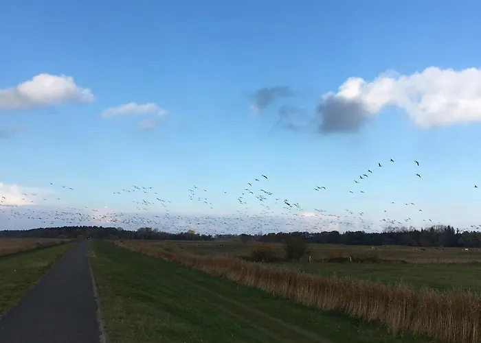 Achtern Diek 13a - 2 *