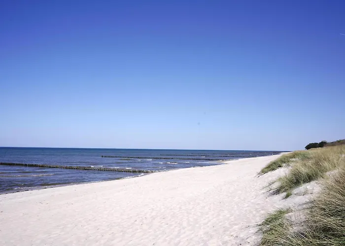 Apartment Achtern Diek 13a - 2 Ostseeheilbad Zingst