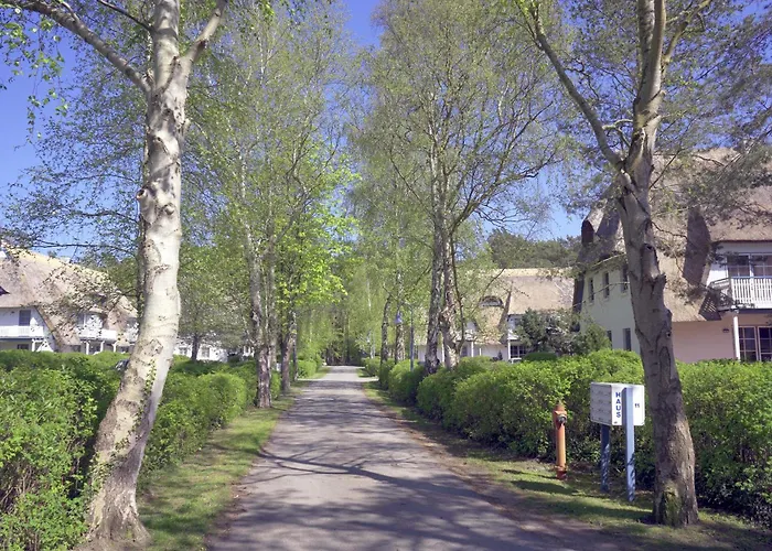 Apartment Achtern Diek 13a - 2 *